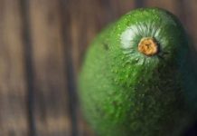 Postcosecha de la palta y la necesidad de contar con barreras naturales contra antracnosis y pudrición peduncular Postcosecha de la palta y la necesidad de contar con barreras naturales contra antracnosis y pudrición peduncular