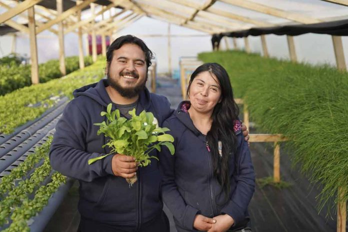 Primera Política Nacional de Juventudes Rurales busca garantizar 