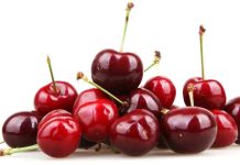 Productores de frutas del norte y este de Mendoza exportarán a China y EE. UU. bajo nueva normativa de «Sitios de Producción Libre»