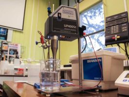 Proyecto UdeC escala tecnología ultrasónica para la extracción de bioactivos en berries de Ñuble