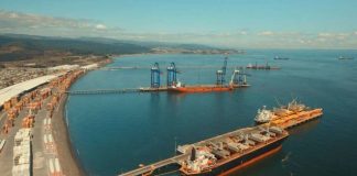 Puerto Coronel consolida envíos de cerezas del Maule a Corea del Sur