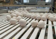 SAG Biobío se reunió con representantes de planteles avícolas de la región