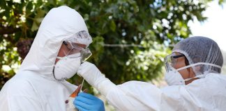 SAG confirma caso de influenza aviar H5N1 en aves silvestres en la región de Valparaíso