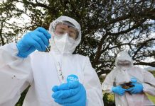 SAG confirma un caso de influenza aviar H5N1 en aves de traspatio de la Región Metropolitana