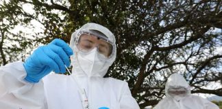 SAG confirma un caso de influenza aviar H5N1 en aves de traspatio de la Región Metropolitana