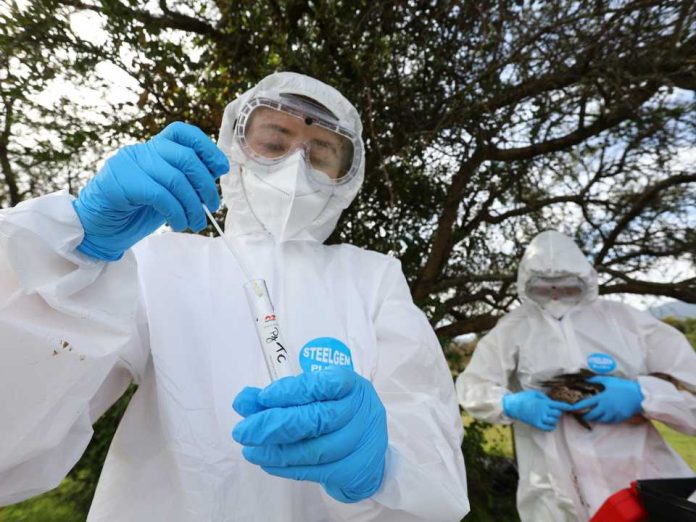 SAG confirma un caso de influenza aviar H5N1 en aves de traspatio de la Región Metropolitana