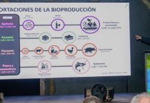 SNA participa en el Día Nacional del Avellano Europeo y destaca su impulso a la fruticultura del sur de Chile SNA participa en el Día Nacional del Avellano Europeo y destaca su impulso a la fruticultura del sur de Chile