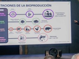 SNA participa en el Día Nacional del Avellano Europeo y destaca su impulso a la fruticultura del sur de Chile SNA participa en el Día Nacional del Avellano Europeo y destaca su impulso a la fruticultura del sur de Chile