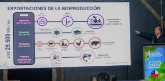 SNA participa en el Día Nacional del Avellano Europeo y destaca su impulso a la fruticultura del sur de Chile