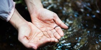 Sello Empresa Hídricamente Responsable | Nuevo estándar reconocerá a empresas que gestionen mejor el agua en Chile