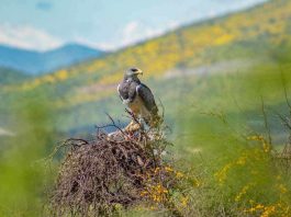 Servicio de Biodiversidad y Áreas Protegidas inaugura el primer Monumento Natural del nuevo Sistema Nacional de Áreas Protegidas
