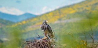 Servicio de Biodiversidad y Áreas Protegidas inaugura el primer Monumento Natural del nuevo Sistema Nacional de Áreas Protegidas