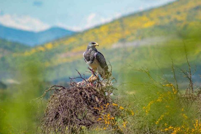 Servicio de Biodiversidad y Áreas Protegidas inaugura el primer Monumento Natural del nuevo Sistema Nacional de Áreas Protegidas
