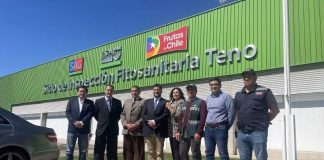 Subsecretario de Agricultura destaca rol estratégico del sitio de Inspección Fitosanitaria de Teno Subsecretario de Agricultura destaca rol estratégico del sitio de Inspección Fitosanitaria de Teno