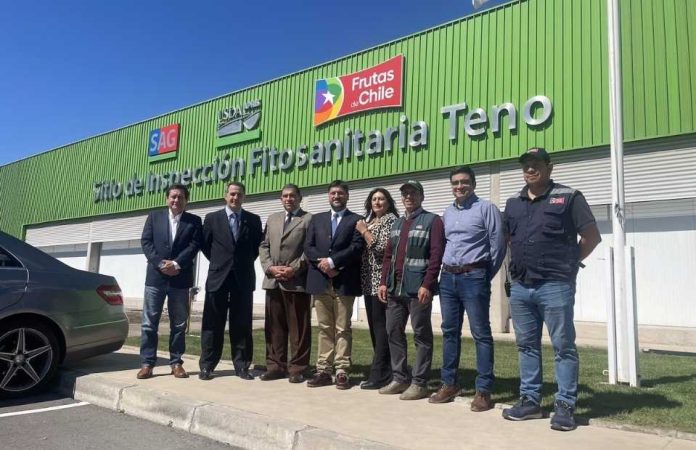 Subsecretario de Agricultura destaca rol estratégico del sitio de Inspección Fitosanitaria de Teno