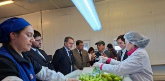 Subsecretario de Agricultura visita sitio de inspección fitosanitaria de Teno para verificar exportaciones hortofrutícolas a EE.UU. Subsecretario de Agricultura visita sitio de inspección fitosanitaria de Teno para verificar exportaciones hortofrutícolas a EE.UU.