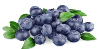 Temporada de arándanos chilenos cierra con alza cercana al 3% en exportaciones y creciente demanda internacional