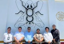 Tras visita a México: Frutas de Chile destaca aumento de las exportaciones y cooperación en materia de control de plagas Tras visita a México: Frutas de Chile destaca aumento de las exportaciones y cooperación en materia de control de plagas