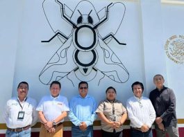 Tras visita a México: Frutas de Chile destaca aumento de las exportaciones y cooperación en materia de control de plagas