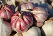 UE | Francia, Italia y España reclaman medidas urgentes para proteger al sector del ajo