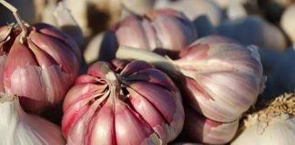 UE | Francia, Italia y España reclaman medidas urgentes para proteger al sector del ajo