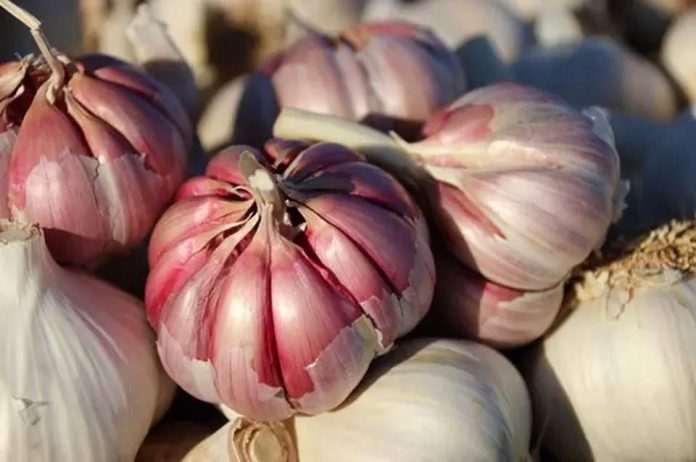 UE | Francia, Italia y España reclaman medidas urgentes para proteger al sector del ajo