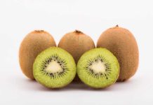 USDA propone modificar los requisitos de manipulación para el kiwi de California y el importado: Con foco en actualización de estándares de empaque y tamaño