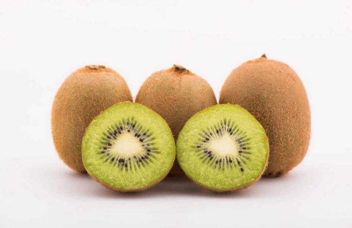USDA propone modificar los requisitos de manipulación para el kiwi de California y el importado: Con foco en actualización de estándares de empaque y tamaño