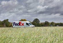 FedEx inicia la temporada alta de exportación de semillas desde Chile con proyección de crecimiento cercano al 10%, exportación de semillas desde Chile