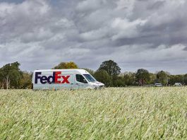 FedEx inicia la temporada alta de exportación de semillas desde Chile con proyección de crecimiento cercano al 10% FedEx inicia la temporada alta de exportación de semillas desde Chile con proyección de crecimiento cercano al 10%, exportación de semillas desde Chile