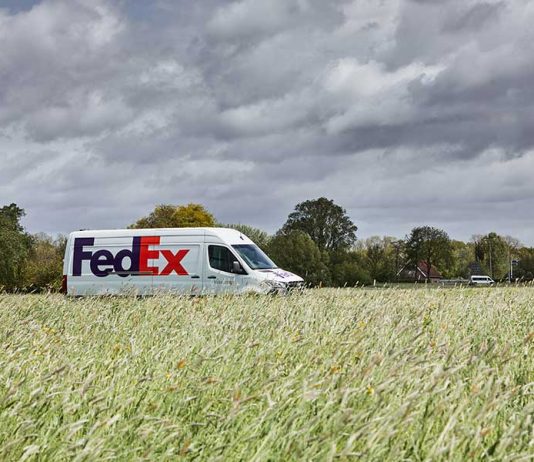 FedEx inicia la temporada alta de exportación de semillas desde Chile con proyección de crecimiento cercano al 10%, exportación de semillas desde Chile