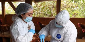 Noticia: SAG logra en tiempo récord la reapertura de los principales mercados...