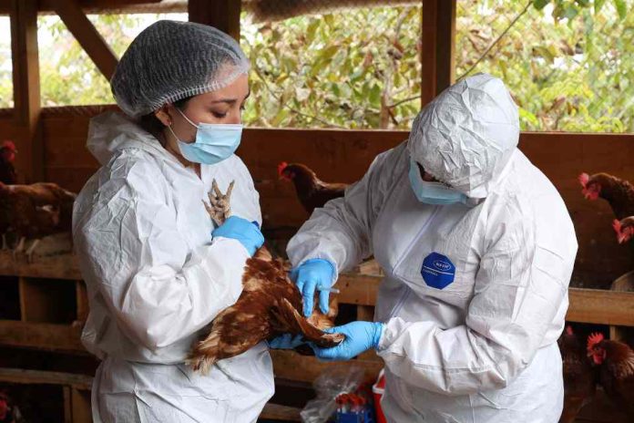 influenza aviar H5N1. influenza aviar de alta patogenicidad (IAAP) H5N1