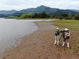 SAG confirma dos casos de influenza aviar H5N1 en aves de traspatio de la región de O’Higgins