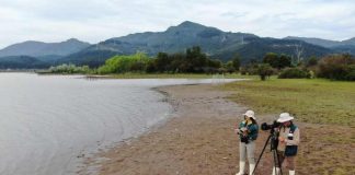 SAG confirma dos casos de influenza aviar H5N1 en aves de traspatio de la región de O’Higgins