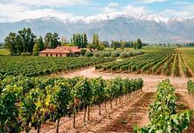 Las 5 mejores empresas para obtener leasing de maquinaria agrícola en Chile en 2026