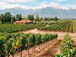 Las 5 mejores empresas para obtener leasing de maquinaria agrícola en Chile en 2026