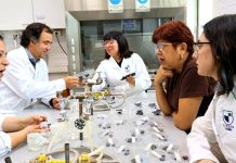 Proyecto busca transformar descartes de aceitunas del Valle de Azapa en snack saludable Proyecto busca transformar descartes de aceitunas del Valle de Azapa en snack saludable