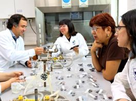 Proyecto busca transformar descartes de aceitunas del Valle de Azapa en snack saludable