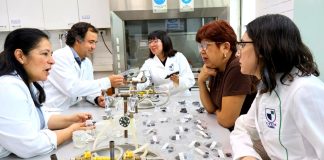 Proyecto busca transformar descartes de aceitunas del Valle de Azapa en snack saludable