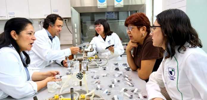 portada-investigacion-aceitunas-azapa Proyecto busca transformar descartes de aceitunas del Valle de Azapa en snack saludable