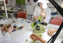 ¿Es posible producir uva de mesa con la mitad de agua? Resultados de postcosecha serán decisivos