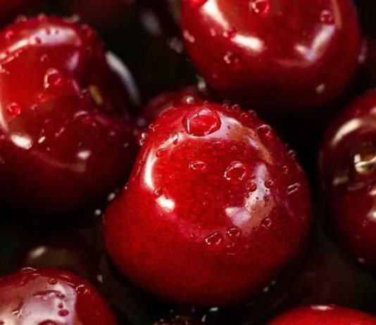 Argentina | Comienza seminario clave para la industria de la cereza