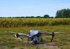 Argentina Con drones y algoritmos, reducen a más de la mitad el uso de nitrógeno