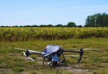 Argentina Con drones y algoritmos, reducen a más de la mitad el uso de nitrógeno