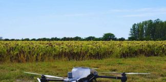 Argentina Con drones y algoritmos, reducen a más de la mitad el uso de nitrógeno