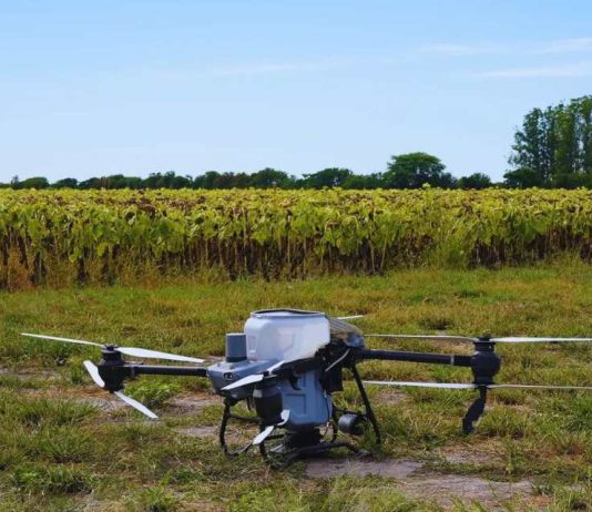 Con drones y algoritmos, reducen a más de la mitad el uso de nitrógeno Argentina Con drones y algoritmos, reducen a más de la mitad el uso de nitrógeno