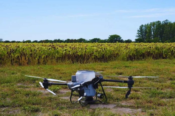 Argentina Con drones y algoritmos, reducen a más de la mitad el uso de nitrógeno