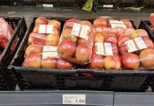 Argentina | Derrumbe histórico: el precio de la manzana toca mínimos en Europa