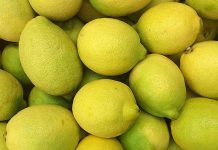 Argentina | EE. UU. establece una nueva definición para los limones sin pepitas en las normas de clasificación